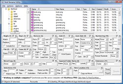 Bulk Rename Utility